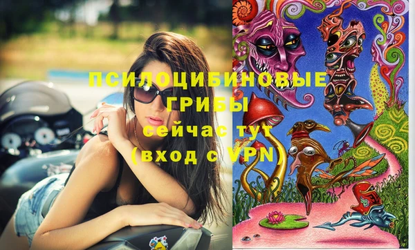 а пвп мука Аркадак