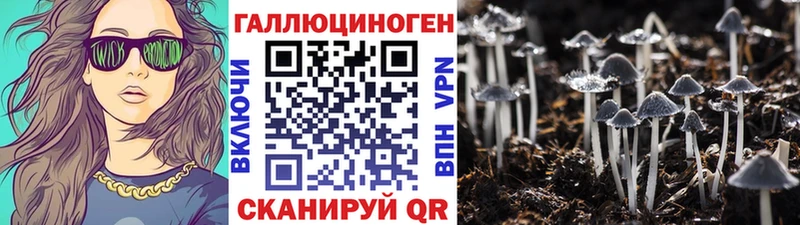 Галлюциногенные грибы мицелий  магазин продажи   KRAKEN как зайти  Мытищи 